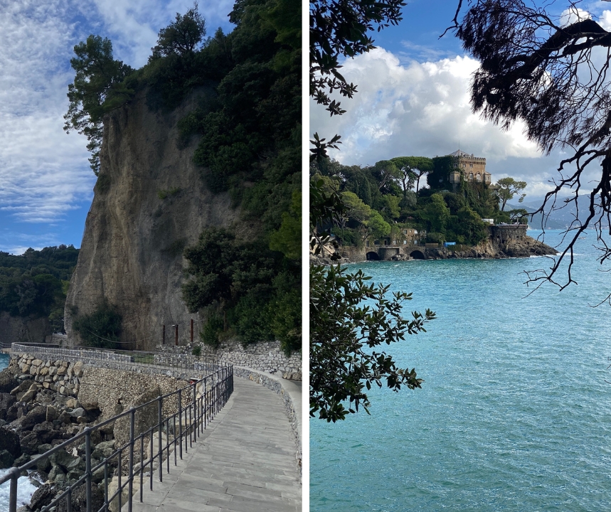 Untitled (859 x 720 px)